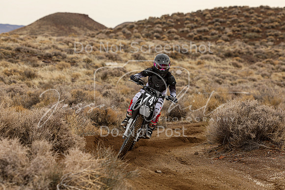 IMG_0731-74v