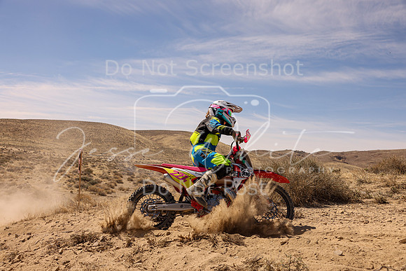 IMG_1490-227v