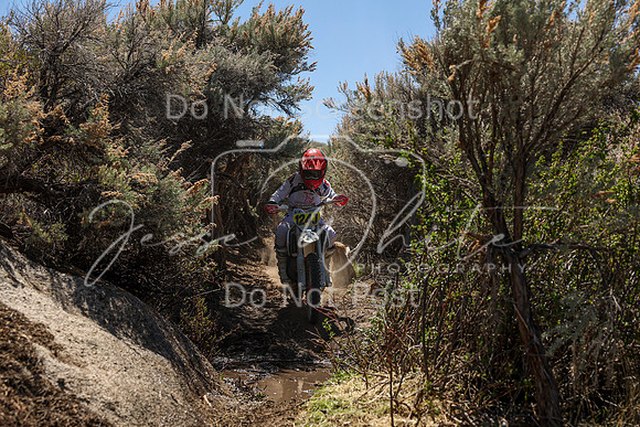 IMG_0269-124j