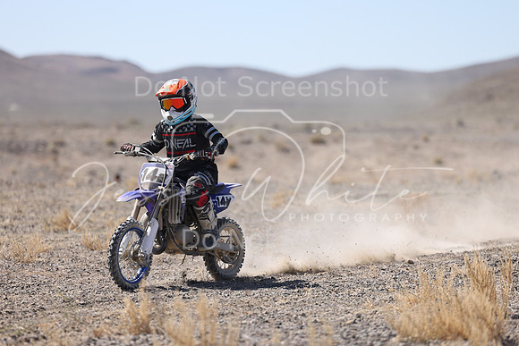 IMG_2161-14y