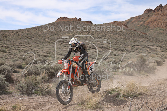 IMG_6419-505v