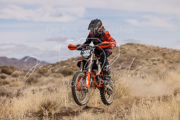 IMG_0095-47a