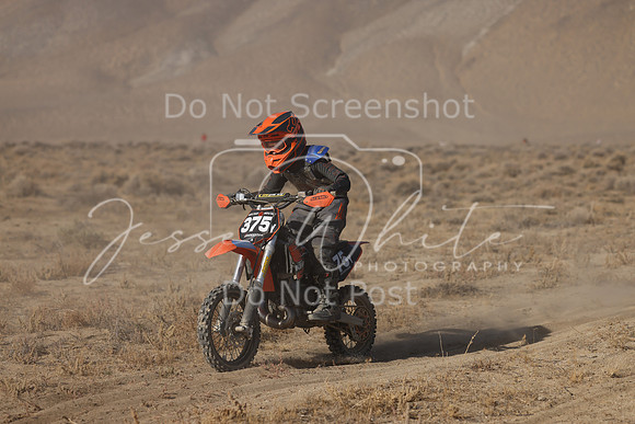 IMG_6443-375y