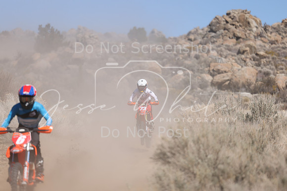 IMG_6236-6-73
