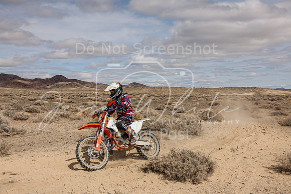 IMG_2006-46a