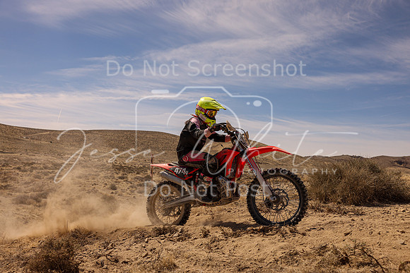 IMG_1527-474v