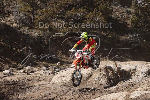 IMG_9253-nt115