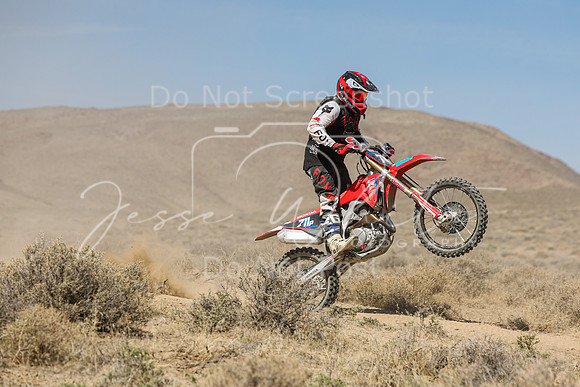 IMG_8276-711p