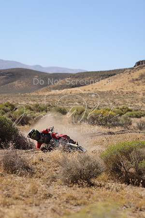 IMG_3453-225y