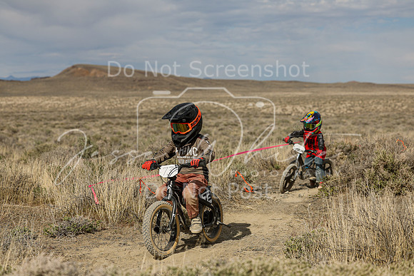 IMG_0784-