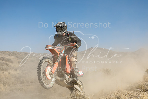 IMG_7426-28n
