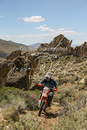IMG_9352-73m
