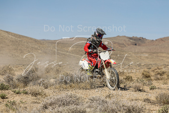 IMG_8252-11a