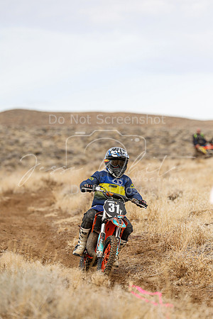 IMG_9993-31y