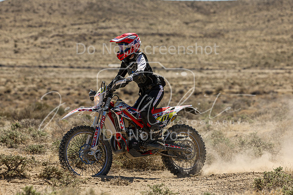 IMG_6541-777v