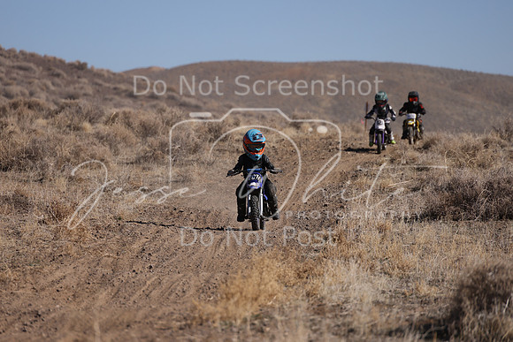 IMG_7832-207z