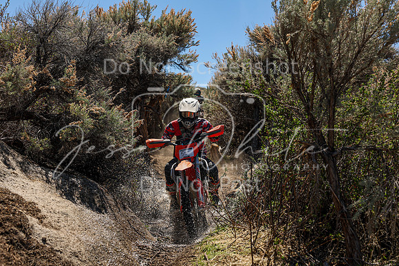 IMG_0547-5j