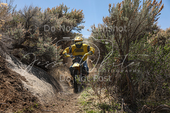 IMG_0217-30b
