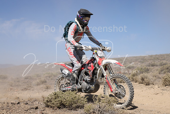 IMG_4267-902x