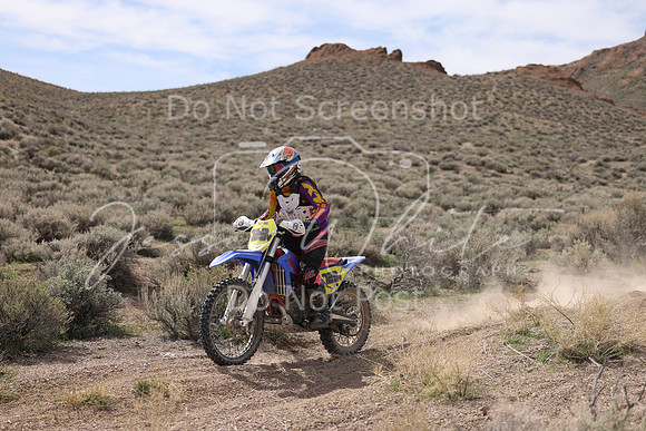 IMG_6459-723v