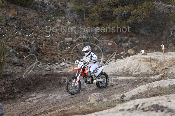 IMG_7106-nt402