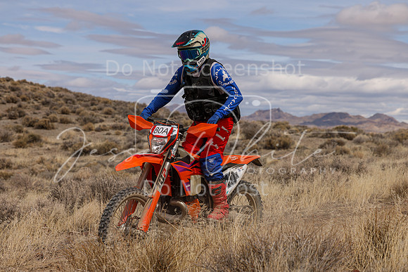 IMG_0617-80a