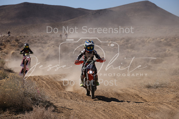 IMG_8650-n39