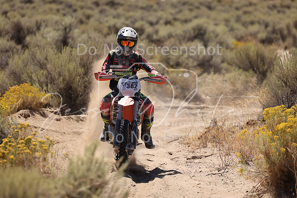 IMG_1867-nt382