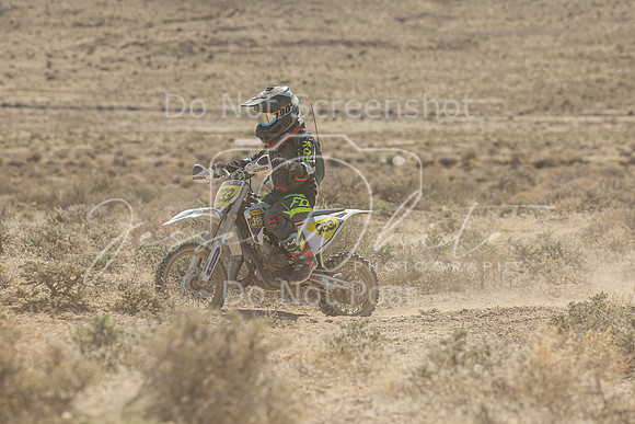 IMG_6551-933y