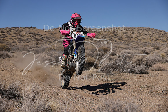 IMG_9170-828v