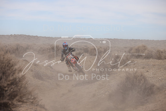 IMG_1307-824a