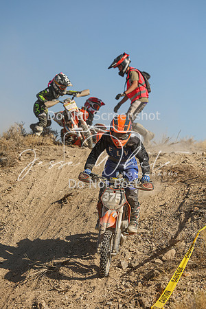 IMG_0410-375y