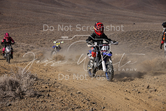 IMG_7539-411y