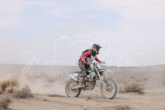IMG_9780-522v