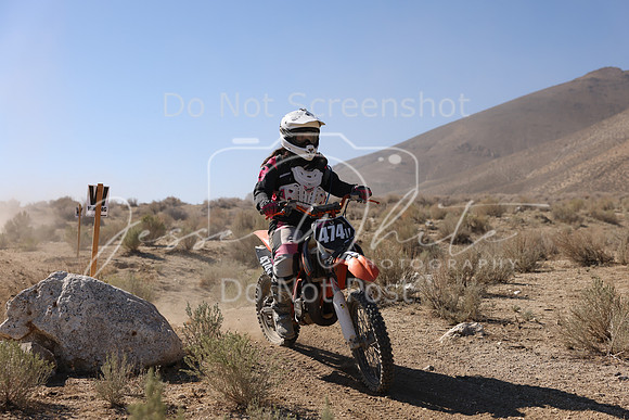 IMG_6910-474v