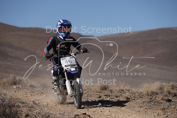IMG_7456-99y