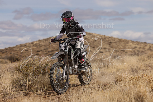 IMG_0198-43a