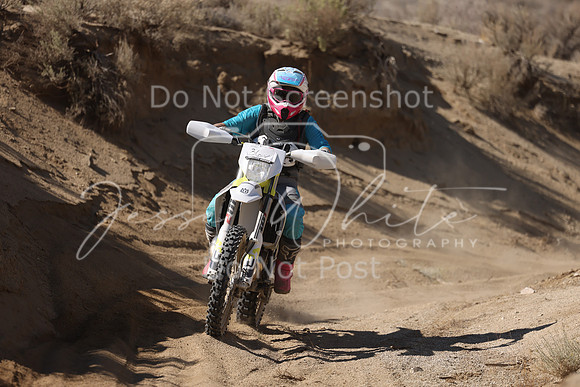 IMG_7133-36v