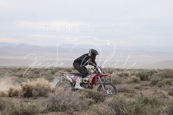 IMG_7373-52a