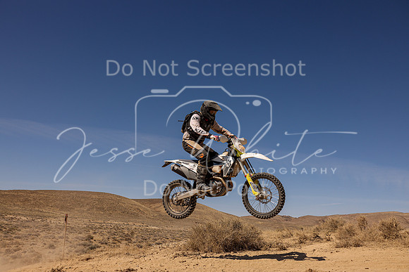 IMG_2279-954p