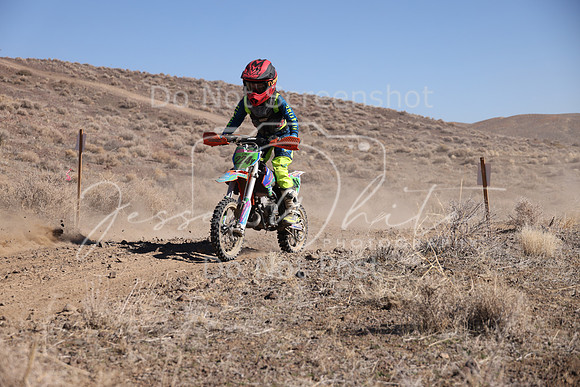 IMG_7957-224y