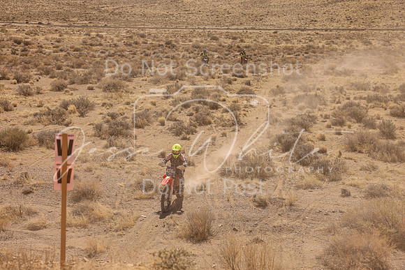 IMG_1146-474v
