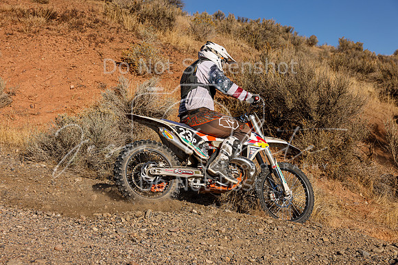 IMG_2764-23p