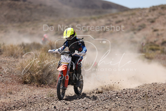 IMG_2634-521y