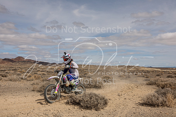 IMG_1887-201a