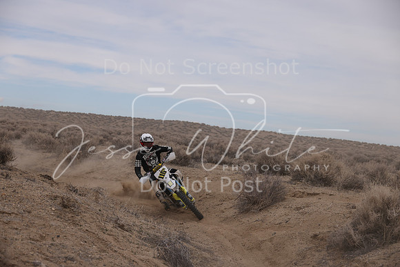 IMG_1135-116n