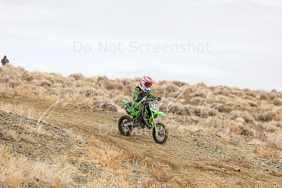 IMG_9858-242y