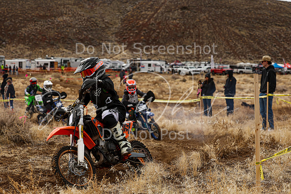 IMG_9734-333y