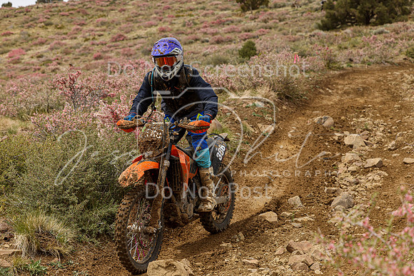 IMG_2322-386