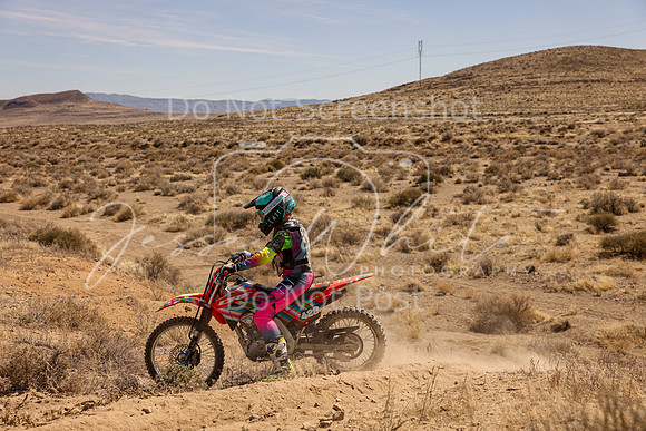 IMG_1336-428v